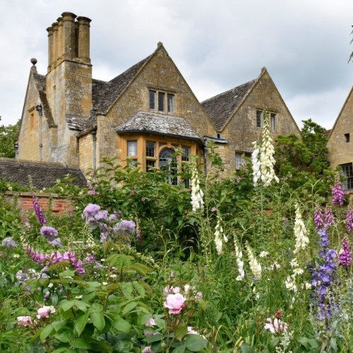 The Manor House at Hidcote Gardens, a traditional Cotswold farm house surrounded by purple plants in the Old Garden at Hidcote.