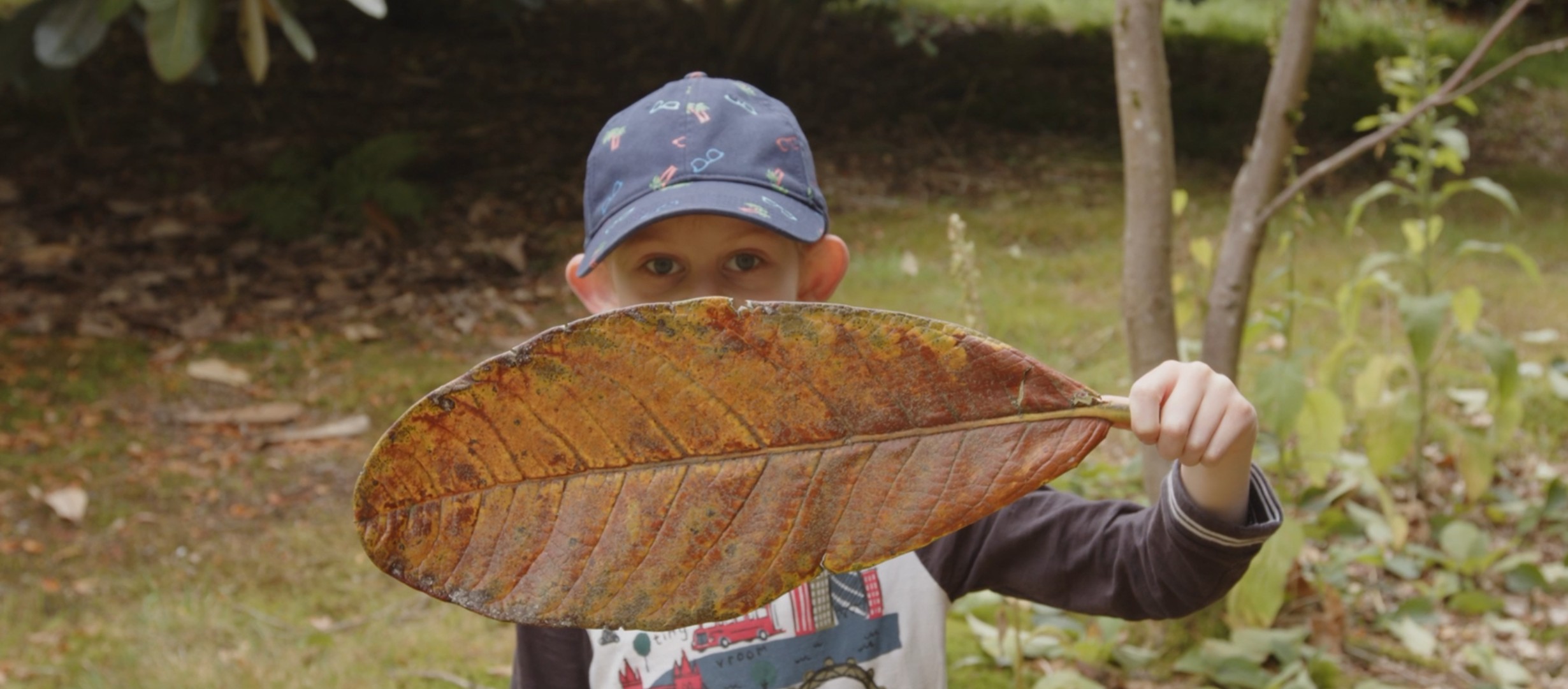Young boy with blue hat holding a giant leaf which is held in front of his face