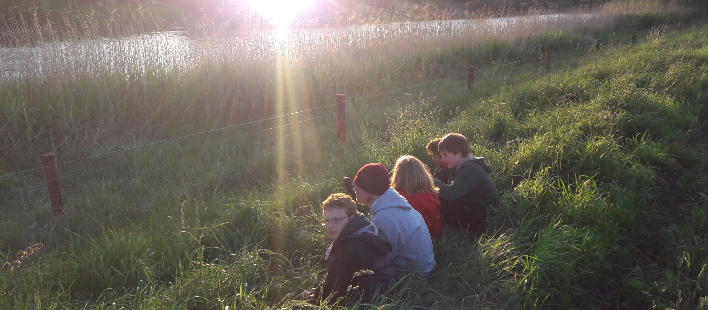 Four young people sat in a line together on ,long grass in the foreground, overlooking a river reflecting a low sun in the background