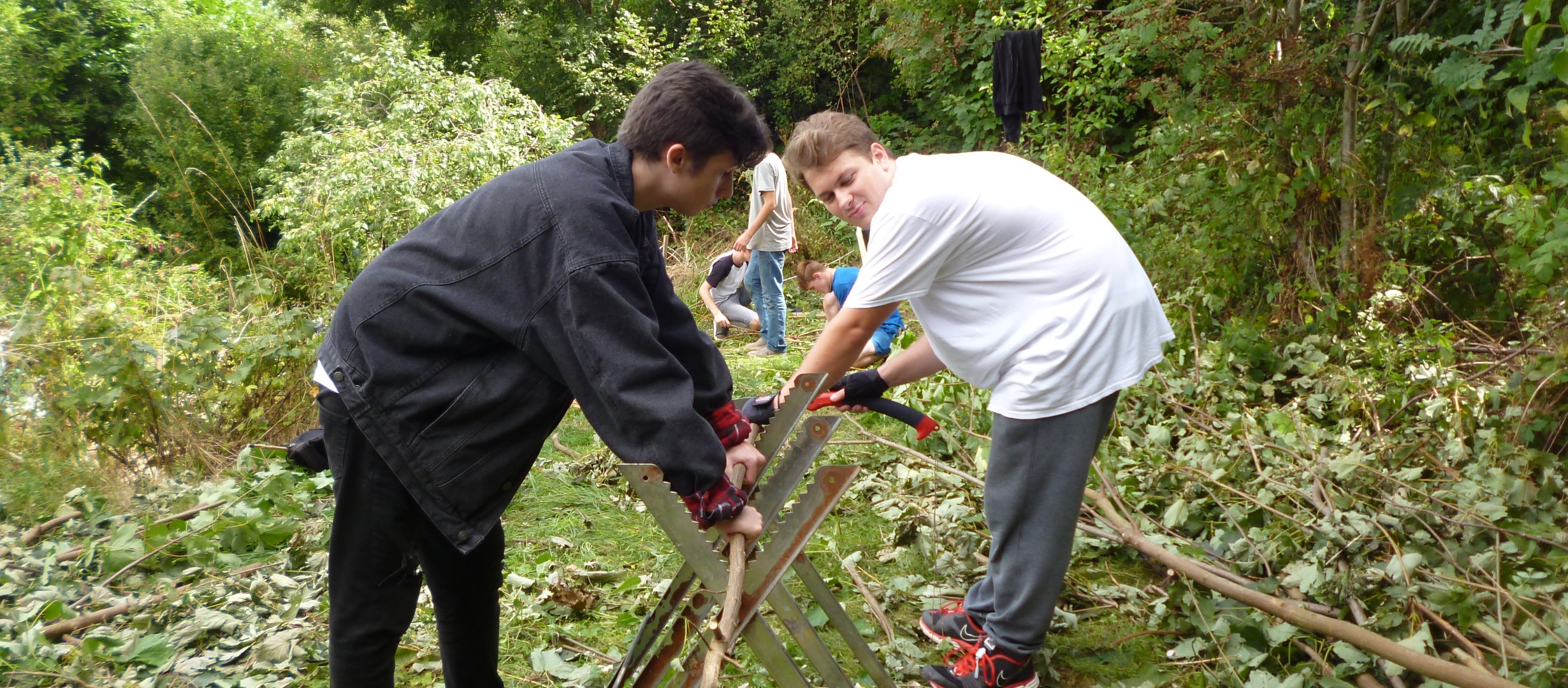 Two young people are holding a thin tree trunk on a metal structure in a woodland clearing