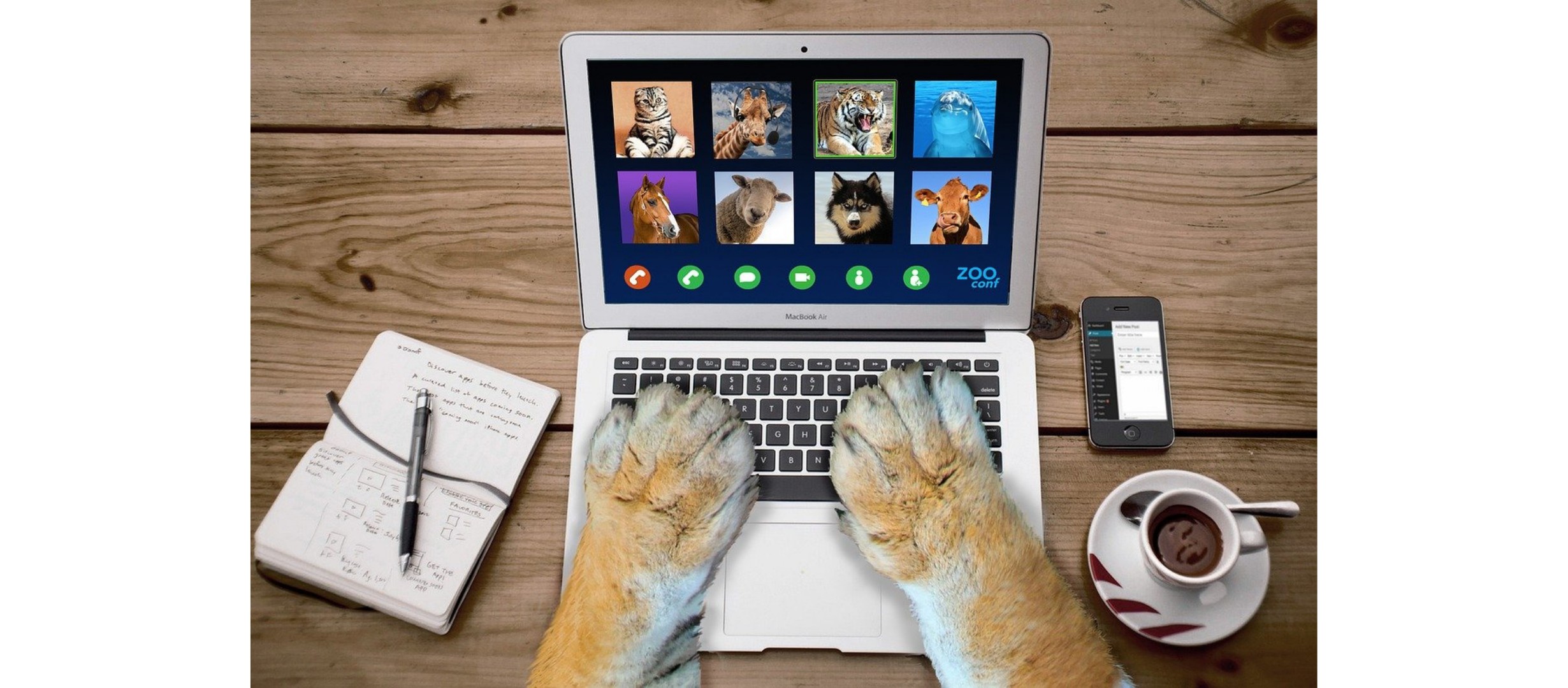 picture of animal paws using a laptop