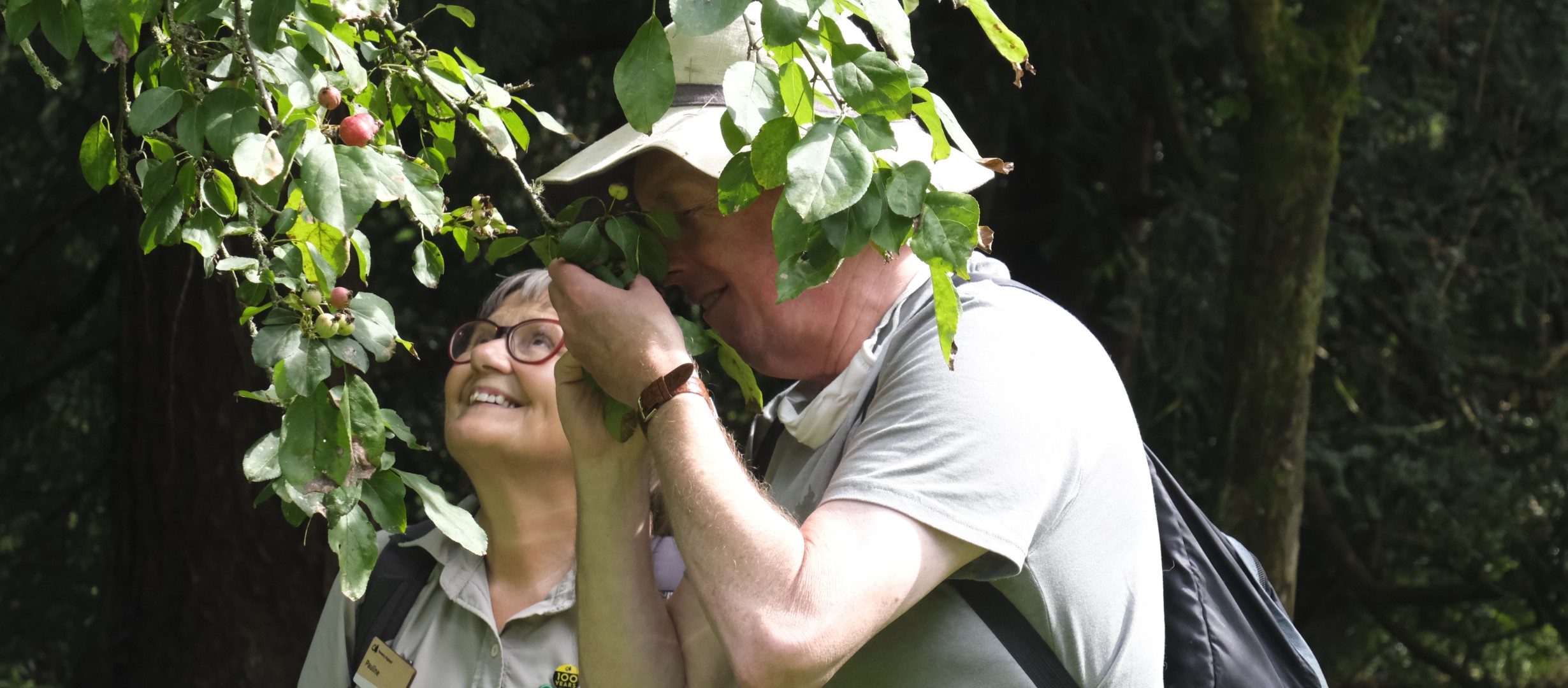 A gentleman brings a branch covered in lush green leaves close to his nose to smell the aroma. A woman by his side looks up joyfully towards the top of the tree.