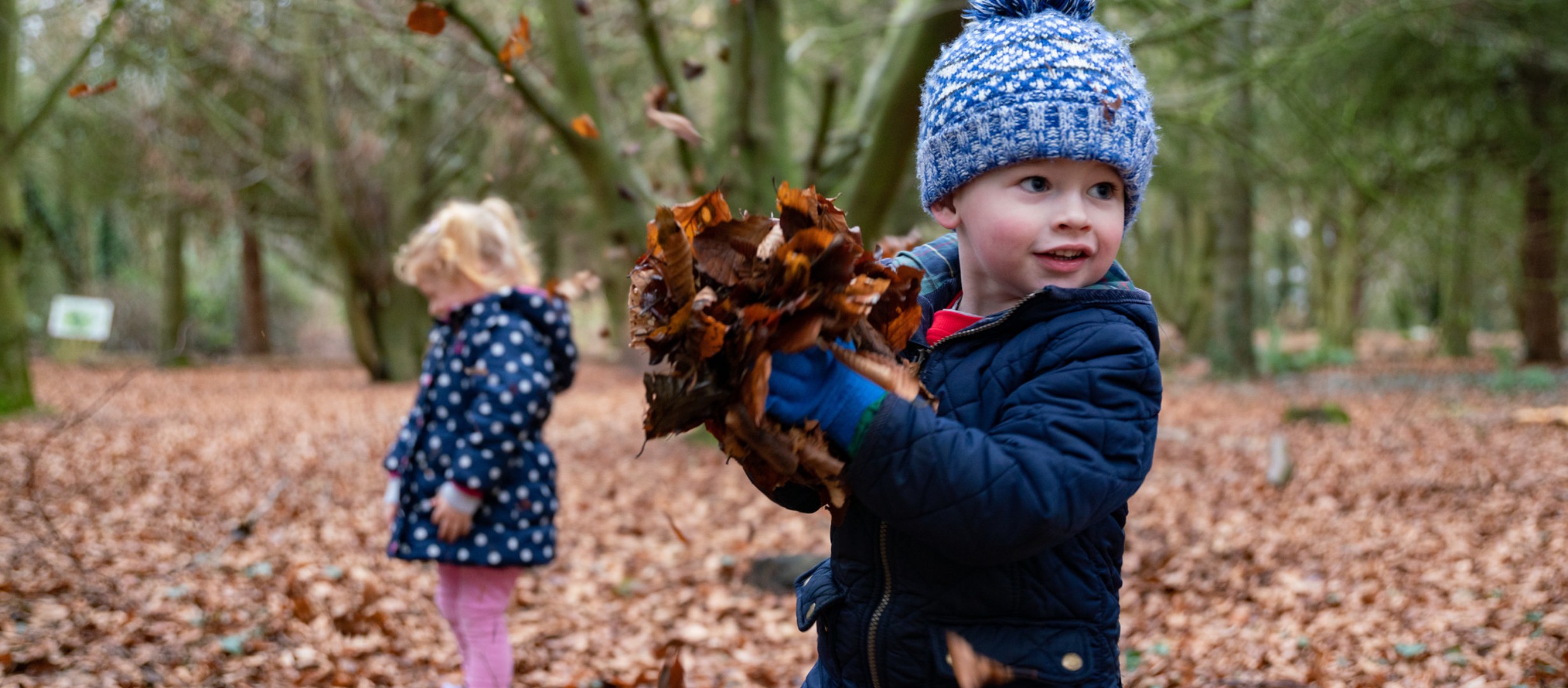 Child holding leaves in woodland