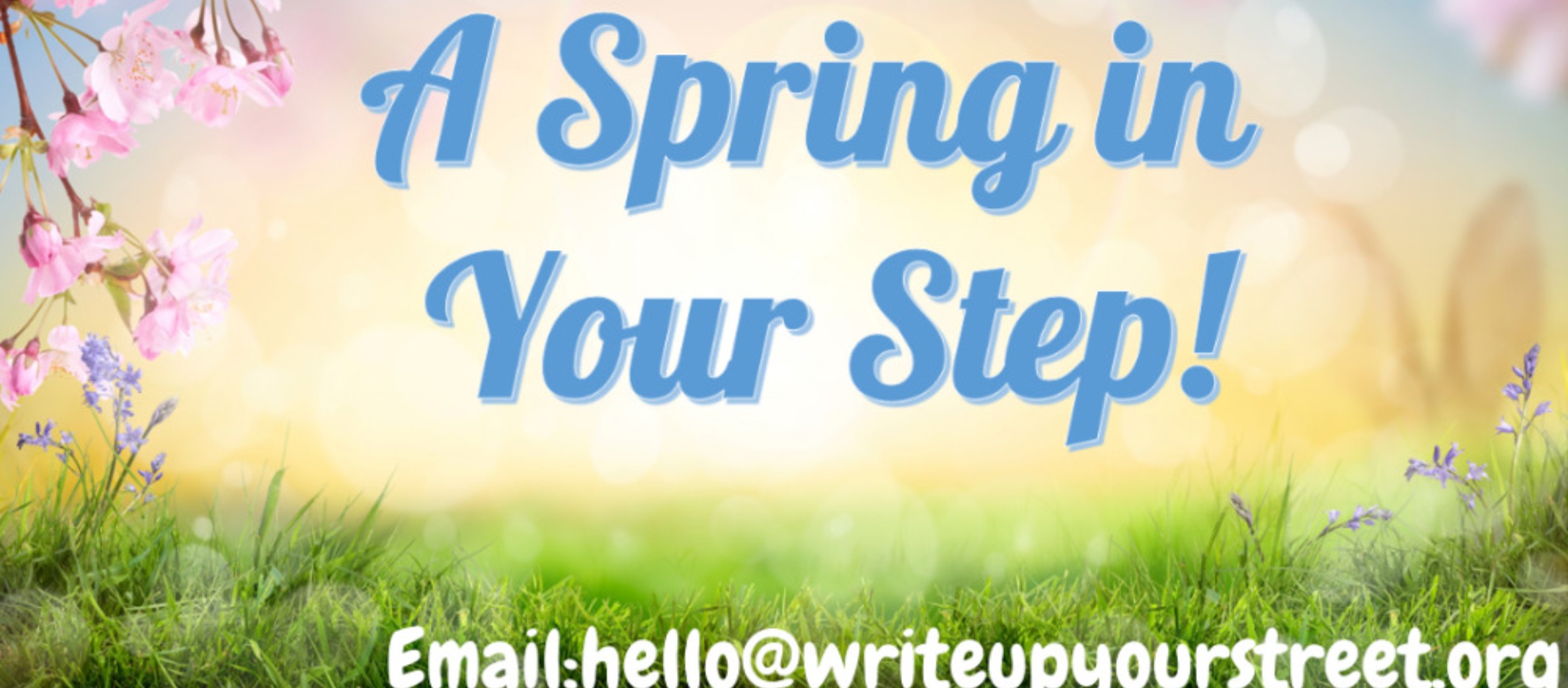 image of grass and flowers, text reads 'a spring in your step/ Email: hello@writeupyourstreet,org'
