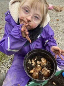 a young child planting bulbs with muddy hands