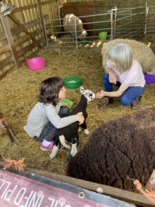 A young child and an adult are in a pen with sheep, the child has her arm around the lamb, the adult is reaching out to the lamb and smiling at the lamb
