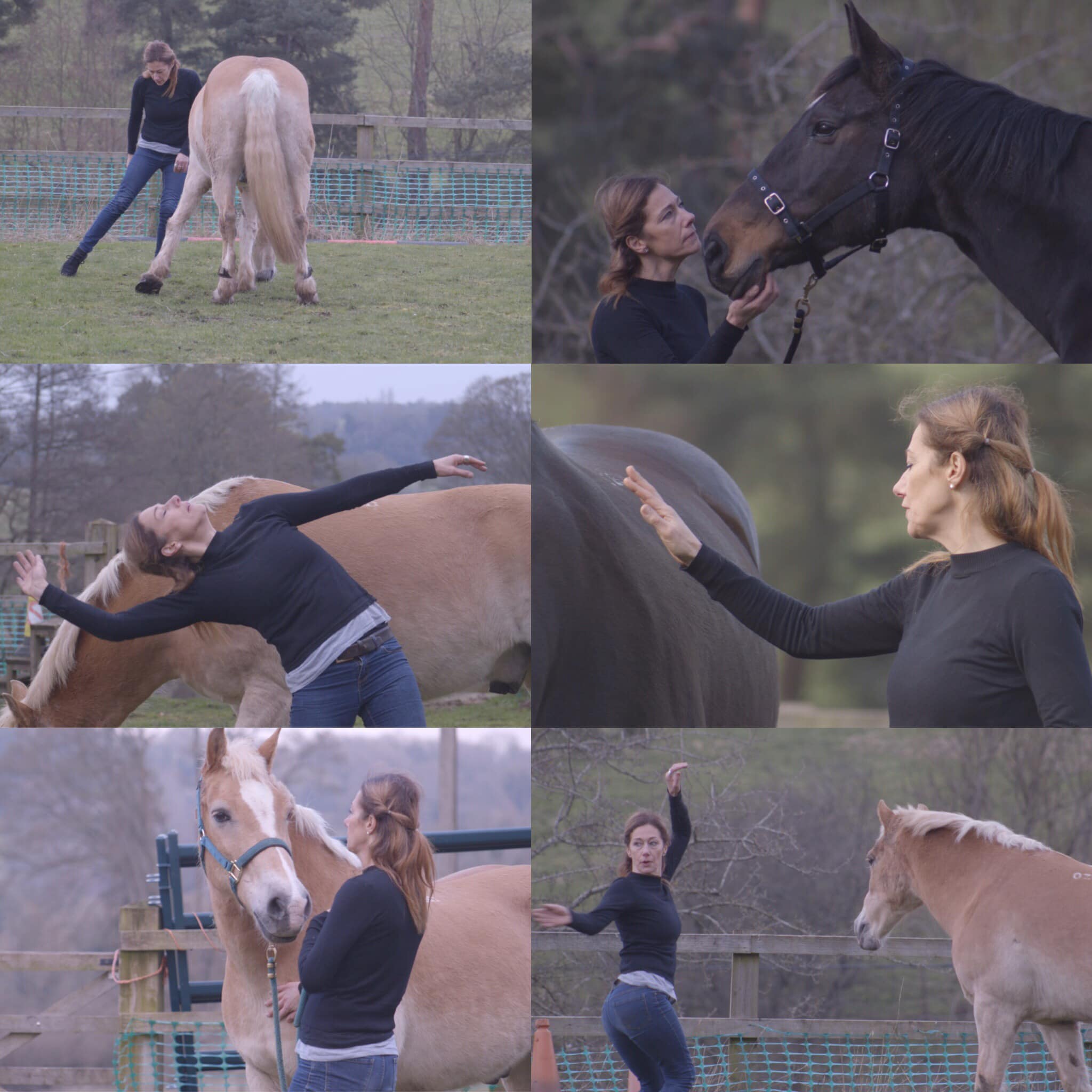 In this collage a woman with long honey-coloured hair, wearing a jumper and blue jeans is dancing with a golden horse with a cream-coloured main. The same woman also stands close to a dark horse. the woman holds the horse gently under her soft nose. They are looking at each other and are very connected. The horses are free and wear natural harnesses.