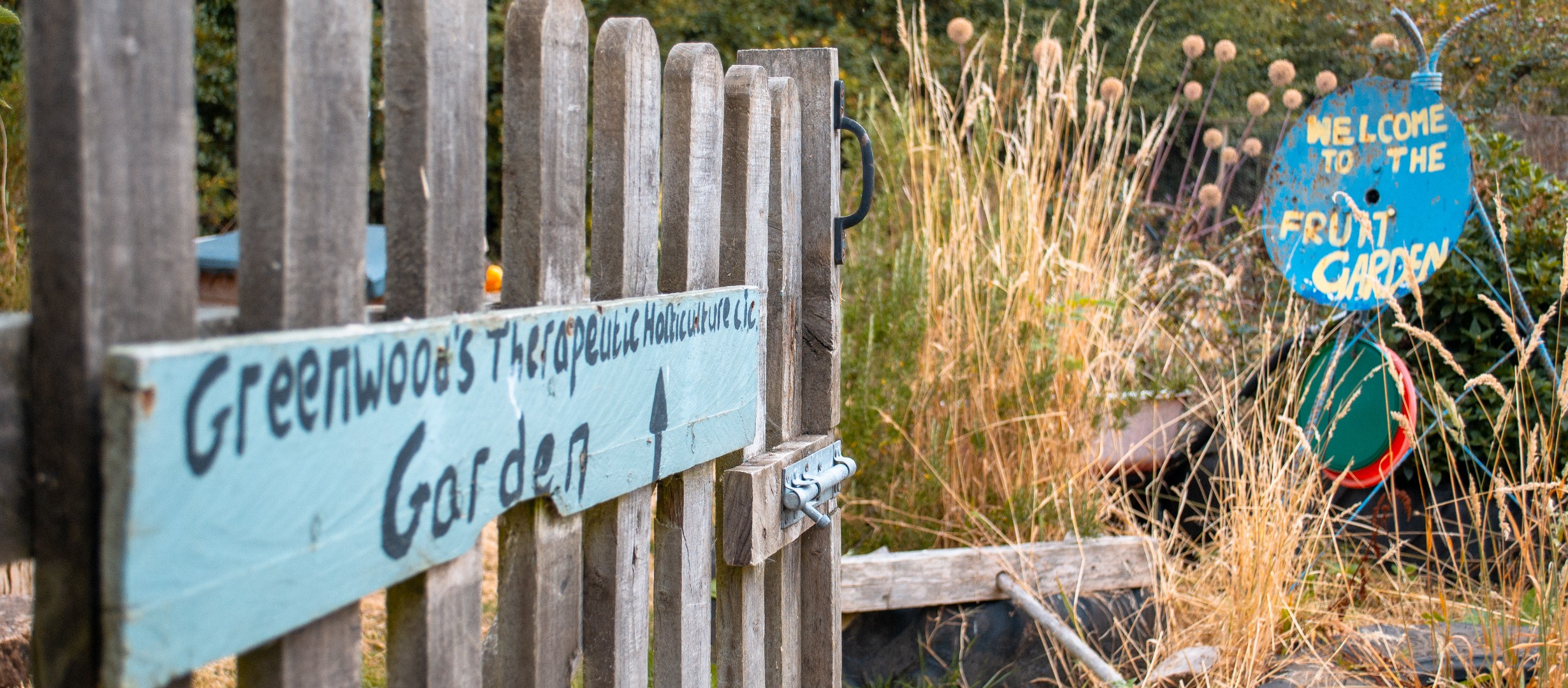 photo shows a wooden gate with a rustic hand lettered sign reading Greenwoods Therapeutic Horticulture CIC Garden. In the background are dried long grasses and a round hand painted sign reading Welcome To The Fruit Garden.