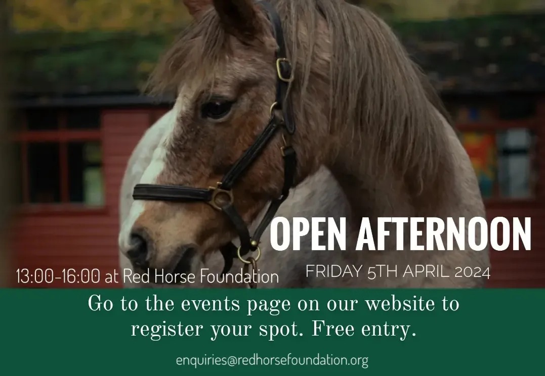 Event poster. Large photograph of a horse. Open Afternoon 1pm-4pm at The Red Horse Foundation, Friday 5th of April 2024. Go to the events page on our website to register your spot. Free entry. email: enquiries@redhorsefoundation.org