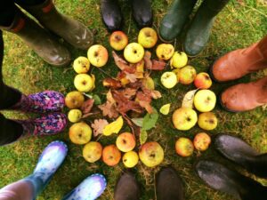 Looking down on a circle of wellington boots with apples and autumn leaves in the middle