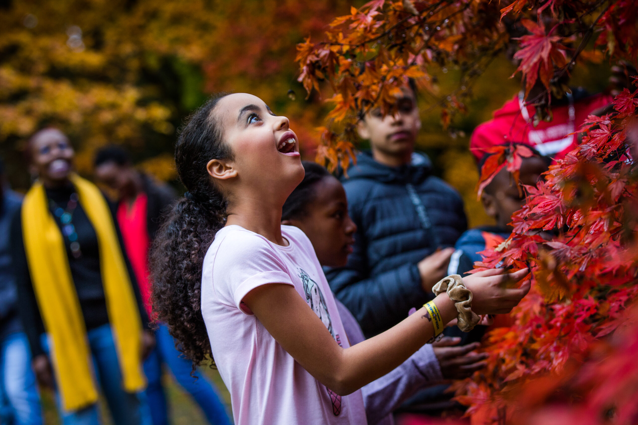 young girl looking up at red leaved tree