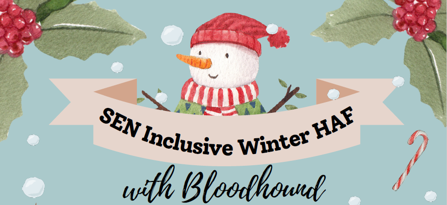 Large Banner of SEN inclusive Winter HAF 24