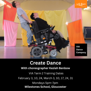 Photograph of two VIA performers . There is a wheelchair user dressed in dark clothes, and a non-wheelchair user in grey. The background is arranged with drapes of fabric in pink, orange and yellow which look like flags