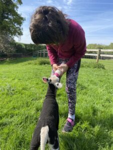 child bottle feeding a lamb blue slies and green grass