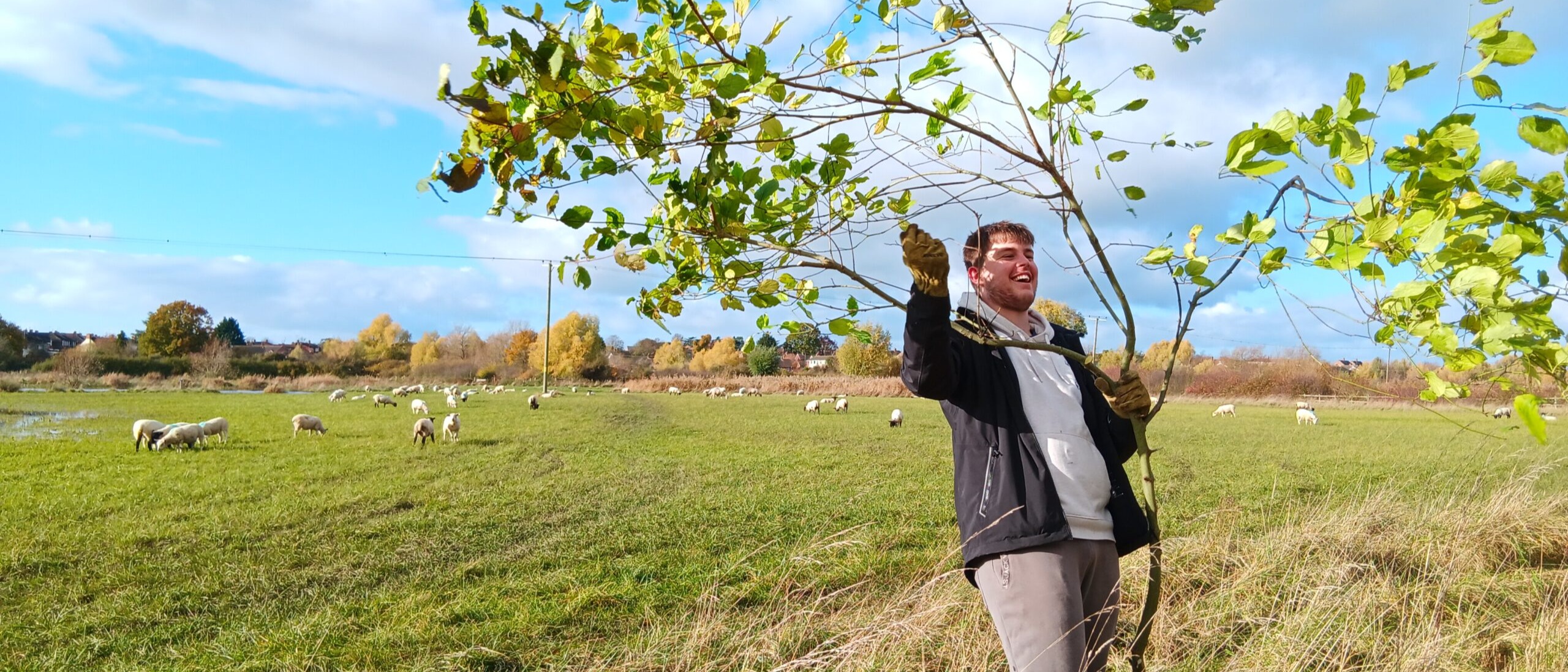 Smiling man moving a wide green leafy branch that is taller than them.