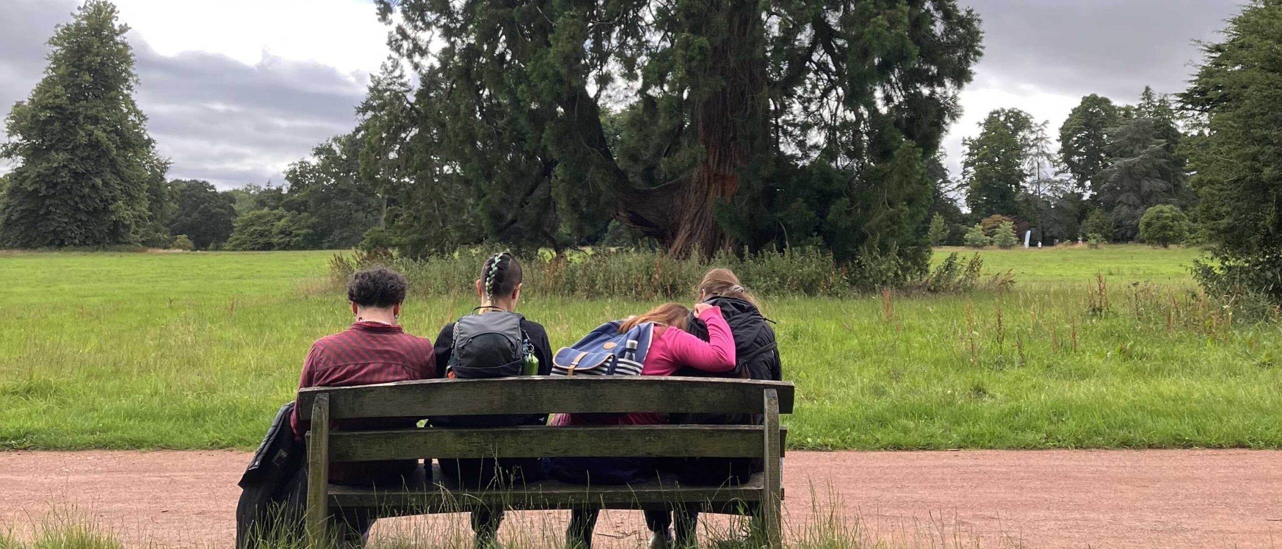 4 people sitting on a bench facing away from the camera with trees in the background