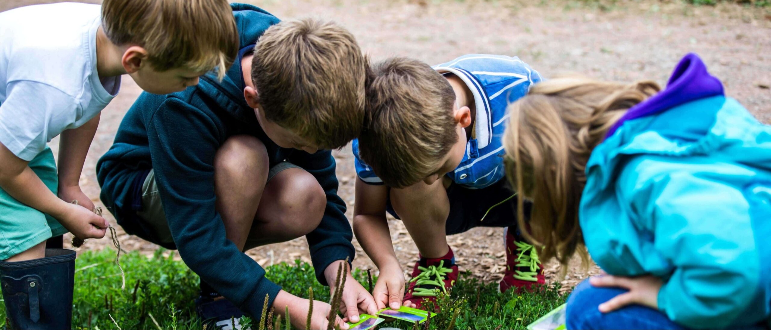 children crouching and looking at items in grass